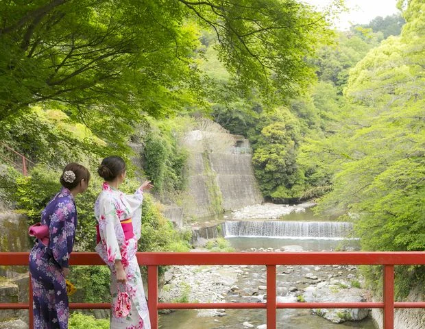 伏尾温泉 不死王閣（ふしおうかく）