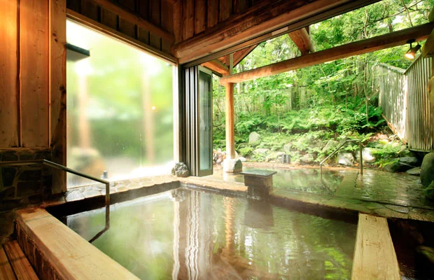 温泉山荘 だいこんの花