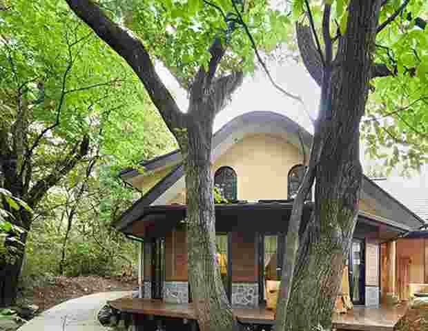 温泉山荘 だいこんの花
