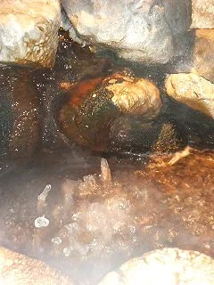 天然温泉テルメ龍宮