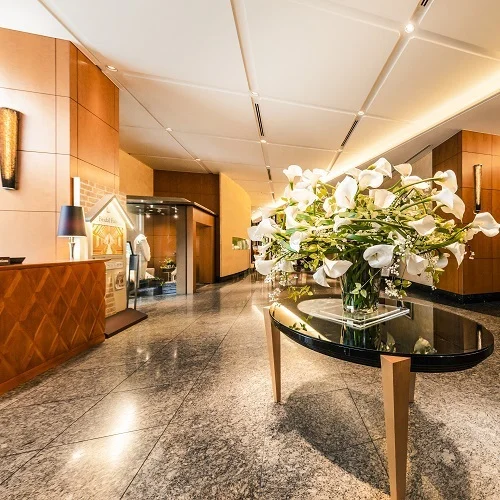 トップメイン画像7