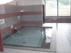 那智山天然温泉 熊野の郷(旧 天然温泉 那智山 蓬莱乃湯)(閉館しました)