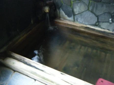 龍神温泉　坂井屋旅館（閉館しました）