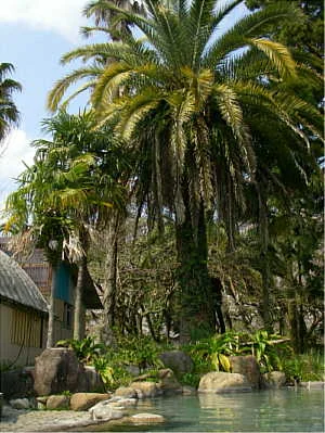 那智天然温泉(閉館しました)