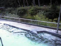 中山平温泉 東蛇の湯(閉館しました)