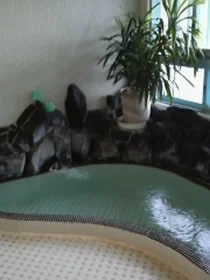 夏山温泉もみじ（閉館しました）