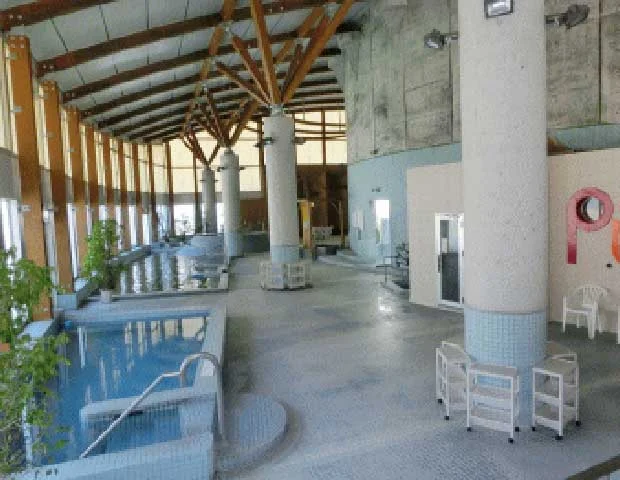 ピーアップシングウ