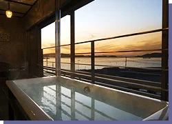 加太淡嶋温泉 大阪屋ひいなの湯