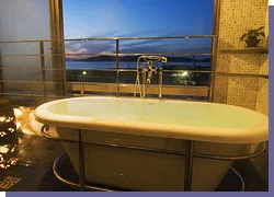 加太淡嶋温泉 大阪屋ひいなの湯