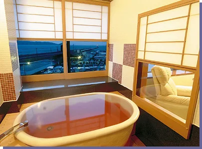 加太淡嶋温泉 大阪屋ひいなの湯