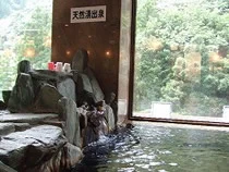 龍神温泉元湯