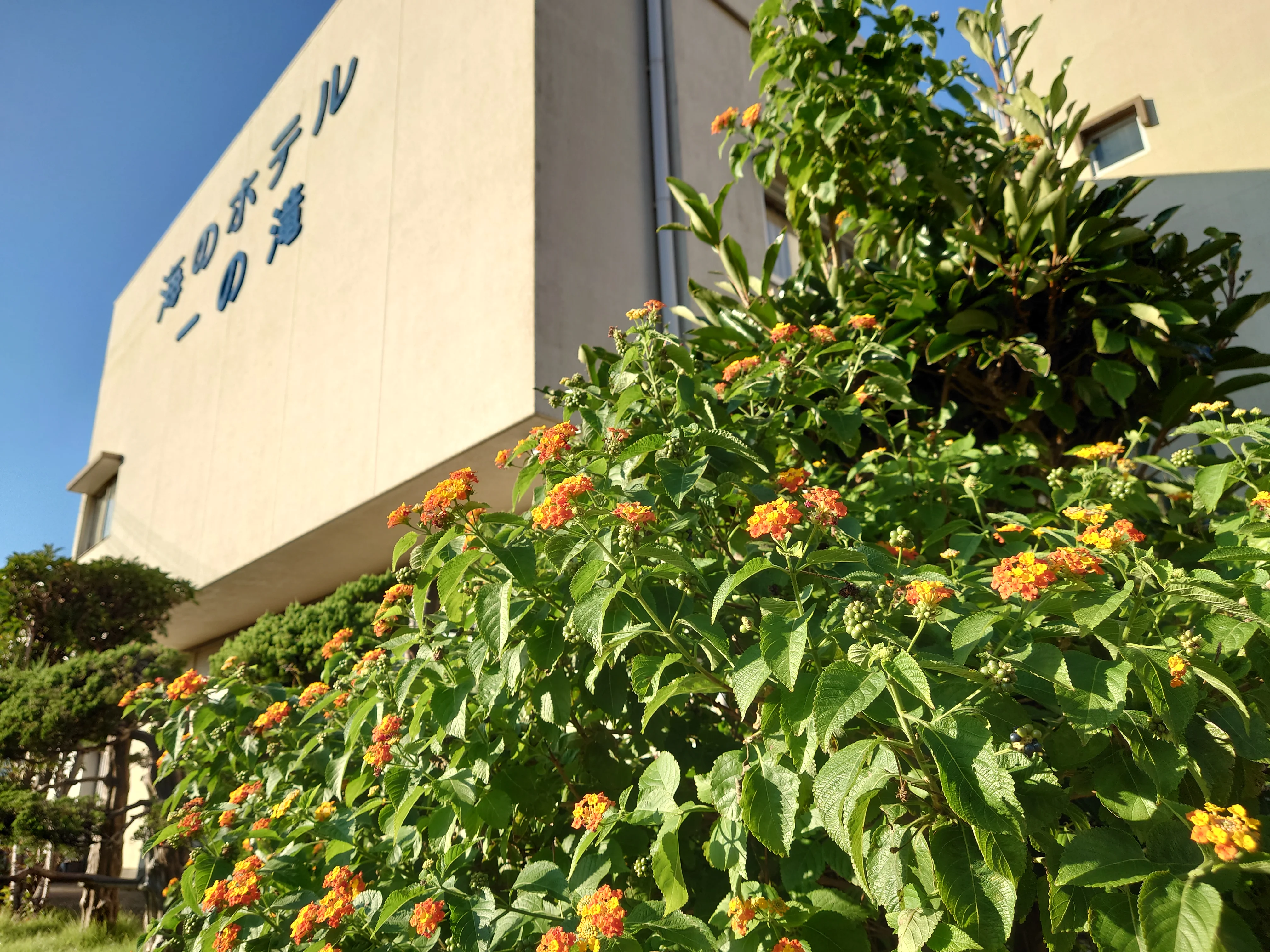 海のホテル 一の滝