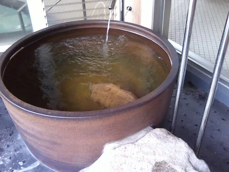 おくとろ温泉　やまのやど