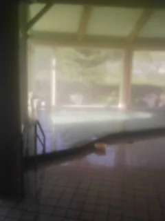 おくとろ温泉　やまのやど