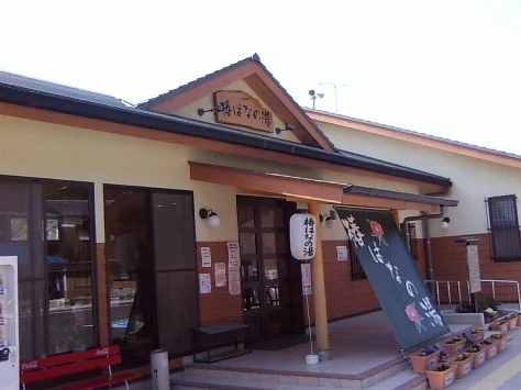 椿はなの湯
