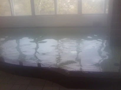 湯浅城