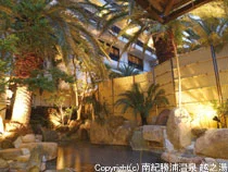 大江戸温泉物語　Premium 越之湯(旧湯快リゾートプレミアム 越之湯)