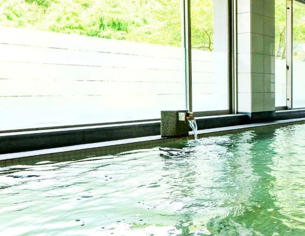 「日帰り温泉 源泉ひなたの湯」ウインデイズ・ヴィラ蔵王(閉館しました)