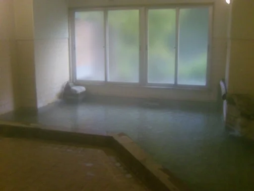 山水館　川湯きのくに(旧 木の国ホテル)(休館中)