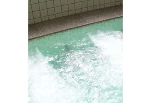 フォトアルバム2