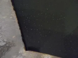 黒湯の高友旅館