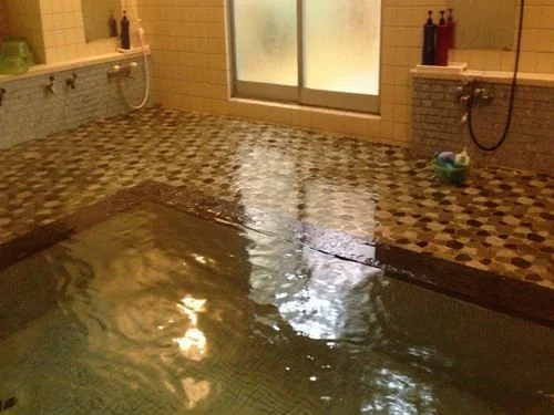 国民宿舎　新和歌ロッジ