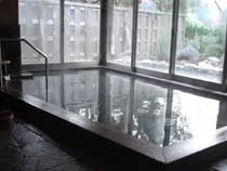 丹生ヤマセミ温泉館
