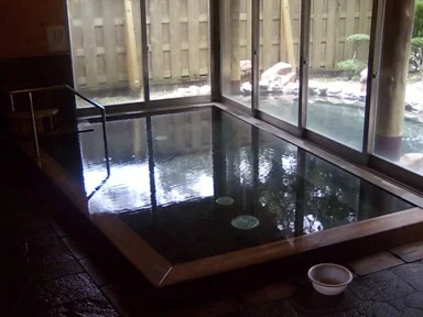 丹生ヤマセミ温泉館