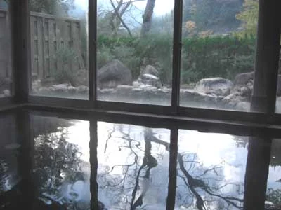 丹生ヤマセミ温泉館
