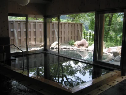 丹生ヤマセミ温泉館
