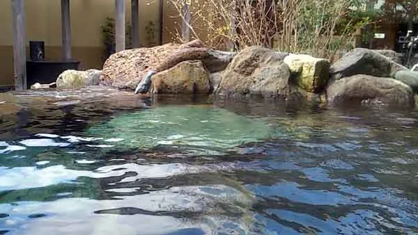 ใใใใๆฉๆฌๅบ๏ผ้้คจใใพใใ๏ผ