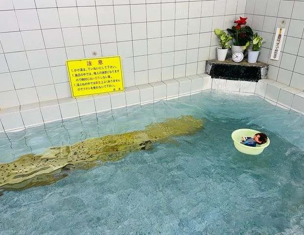 ゆりの山温泉