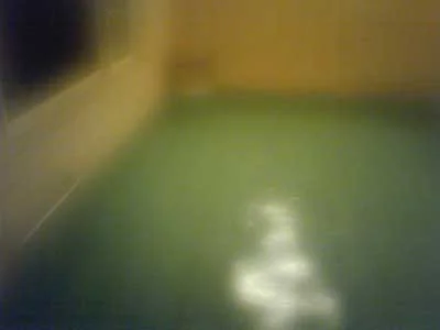 桜湯(閉館しました)