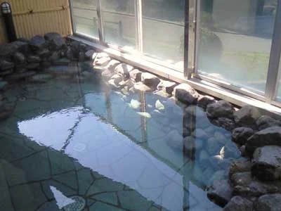 Umibe no Sato Michishio no Yu - Wakayama