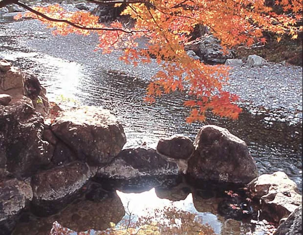 龍神温泉 下御殿