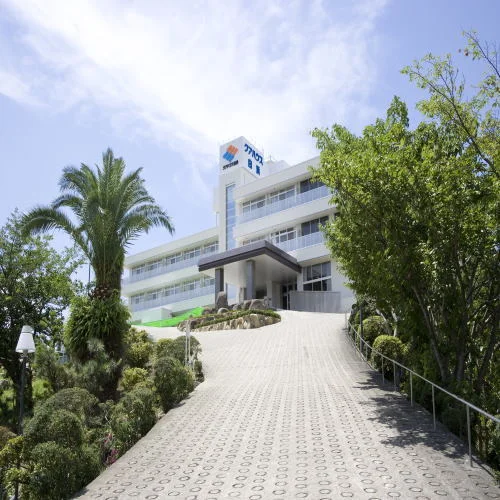 トップメイン画像6