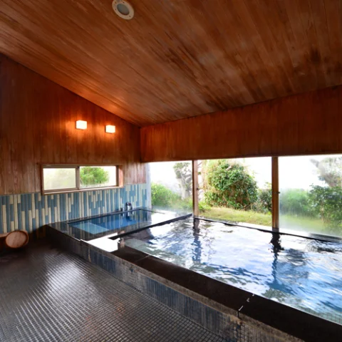 Umitsubaki Hayama - Shirahama - Wakayama