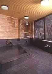 Ryujin Onsen Ryokan Manya - Wakayama