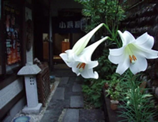ジェイホッパーズ熊野湯峰ゲストハウス（旧 民宿 小栗屋）