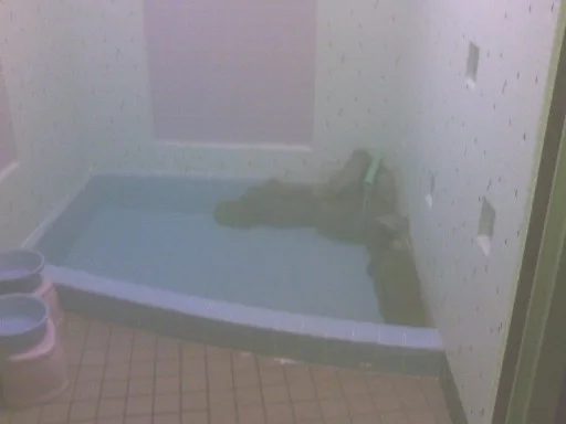 南紀荘(閉館しました)