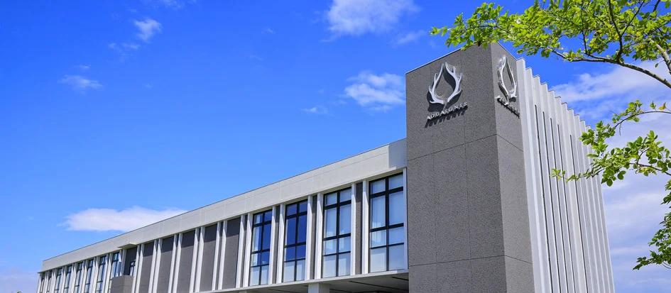 トップメイン画像5