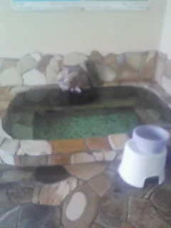 国際観光旅館 冨貴(閉館しました)