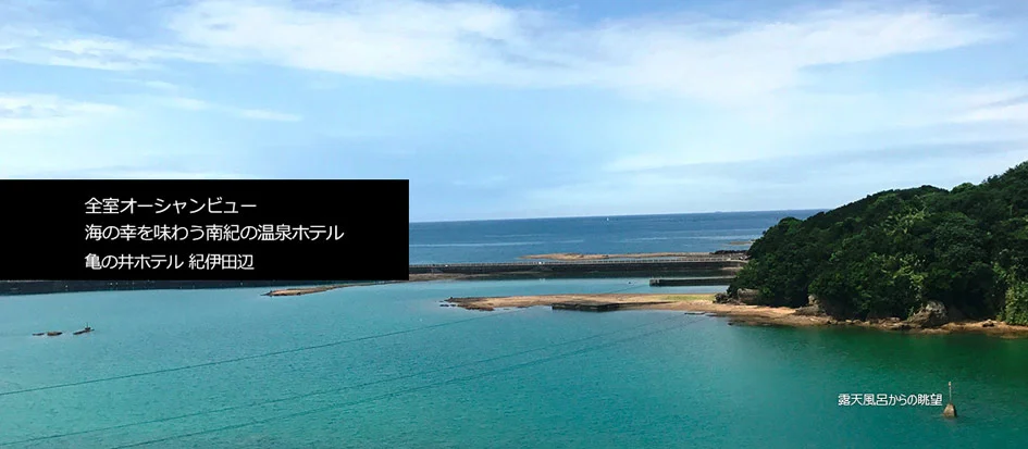 トップメイン画像1