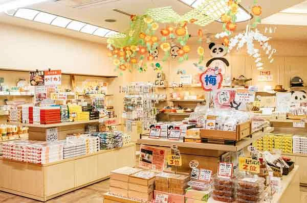 フォトアルバム5