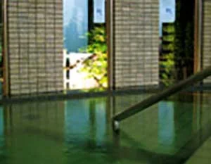 琴の滝荘(閉館しました)