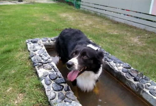 フォトアルバム8