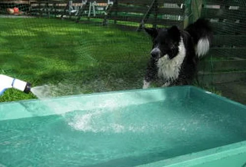 フォトアルバム9