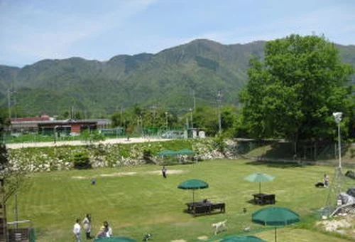 フォトアルバム11