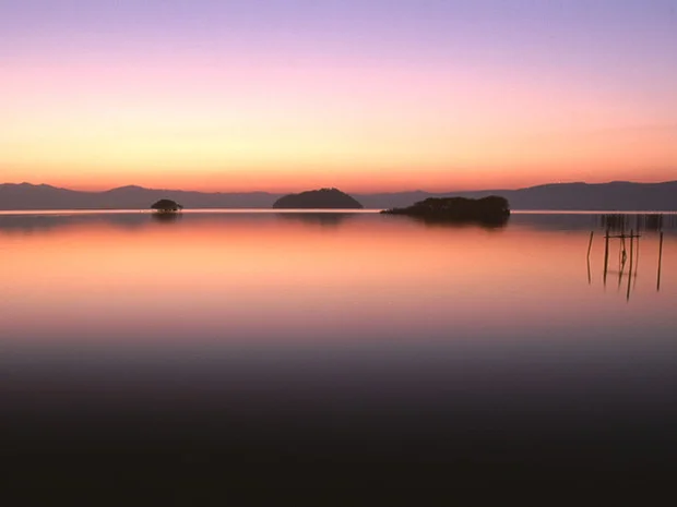浜湖月（はまこげつ）