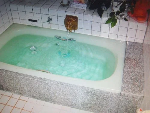 Makino Shiratani Onsen Pension Cuckoo's Nest - Shiga